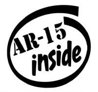 AR-15 Inside